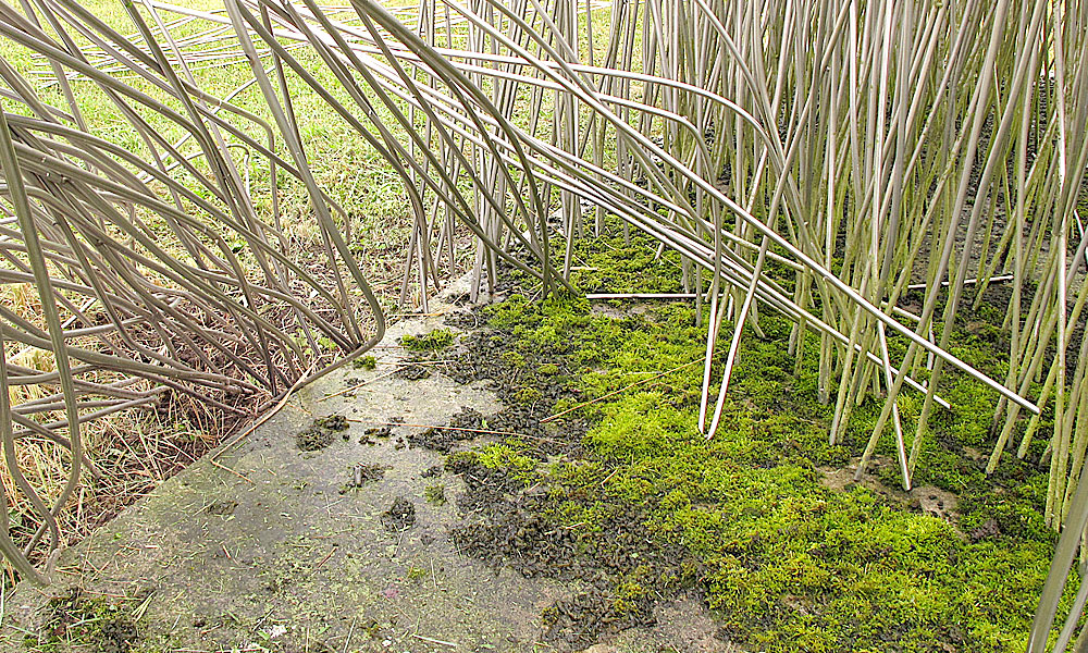 Restaurierung „Kern“ (1999) von Brigitte + Martin  Matschinsky-Denninghoff in Schönfeld/Kamern (Sachsen-Anhalt)